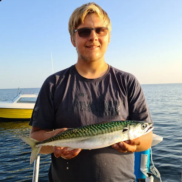 Tilmelding til Makrel Master